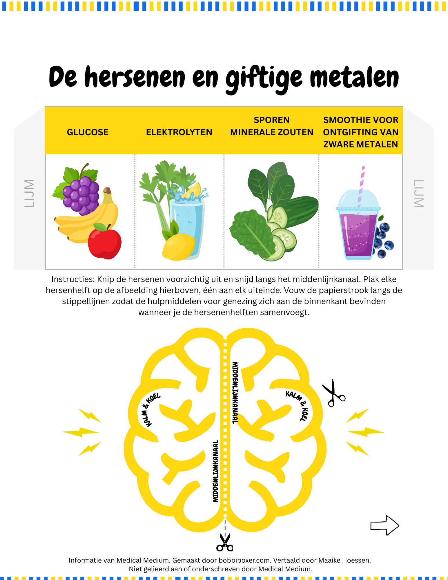Dutch Metals & The Brain
