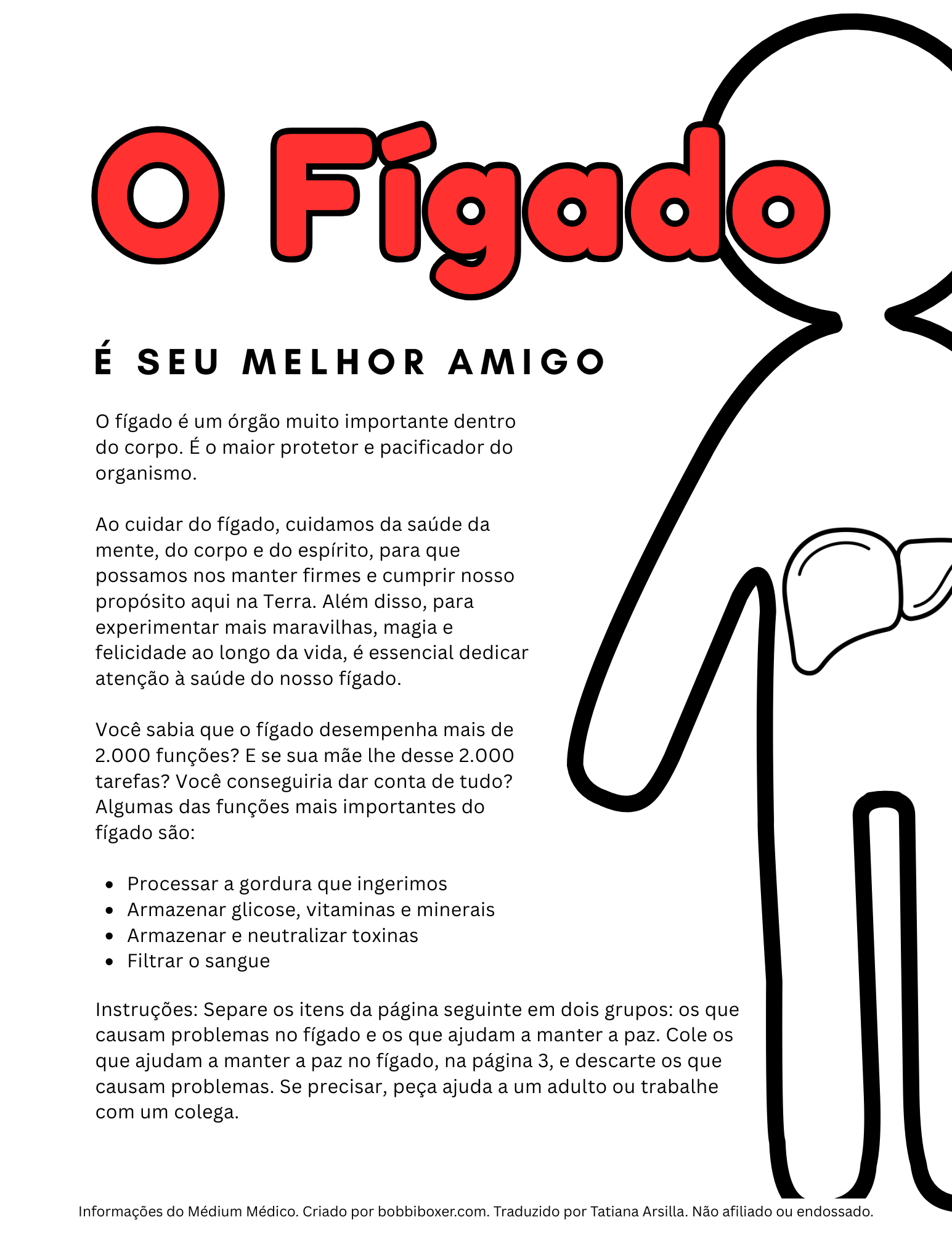 PORTUGUESE The Liver